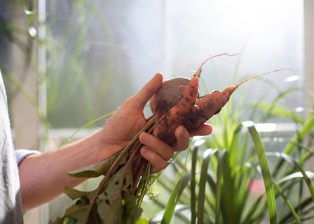 屋内の庭で野菜を育てる男性