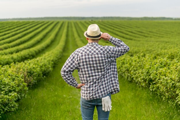 Man at farmland