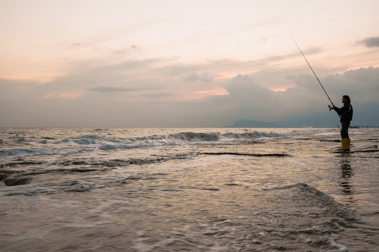 Free Photo man fishing on the sea shore