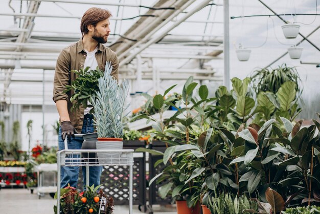 Man florist working in green house