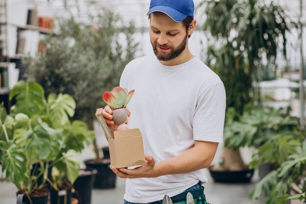 Man florist working in green house