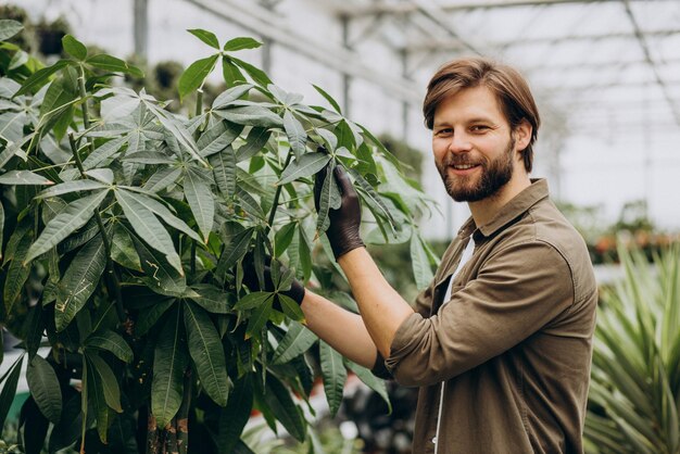 Man florist working in green house