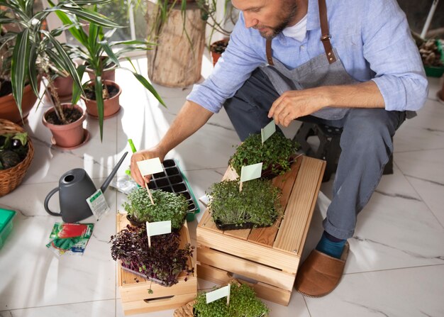 Man growing and cultivating plants indoors