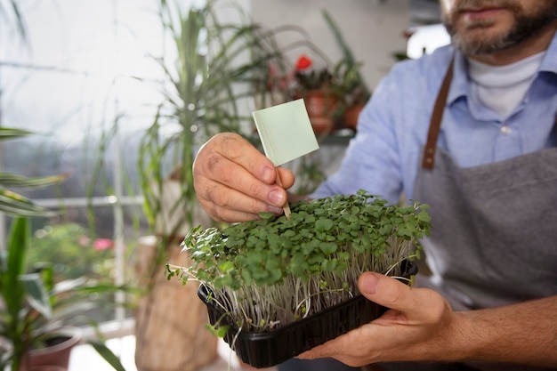 屋内で植物を育てて育てる男