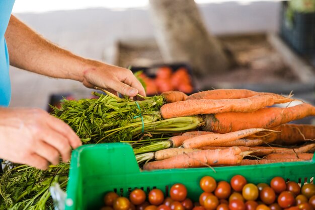 Man hand holding bunch of carrot at market