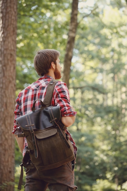 Free photo man hiking in forest