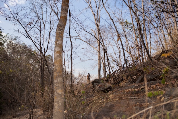 Free photo man in hilly forest