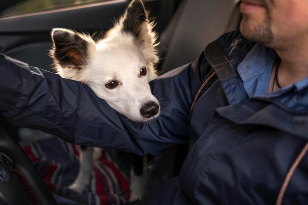 Man and his dog in the car