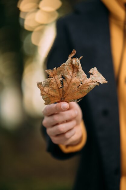 Man holding autumn leave in the park