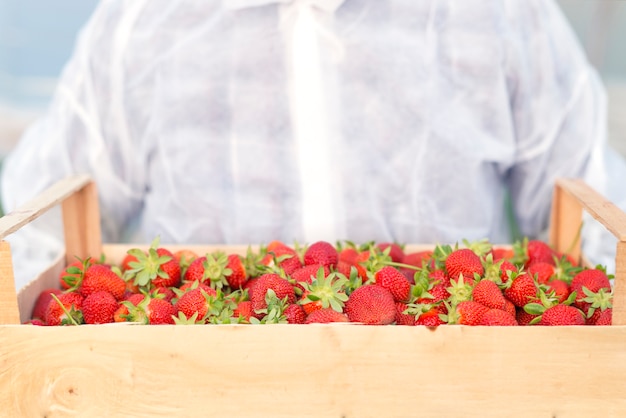 Foto gratuita uomo che tiene cassa piena di frutta fragola