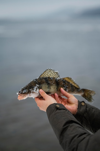 釣った魚を勝ち取った男