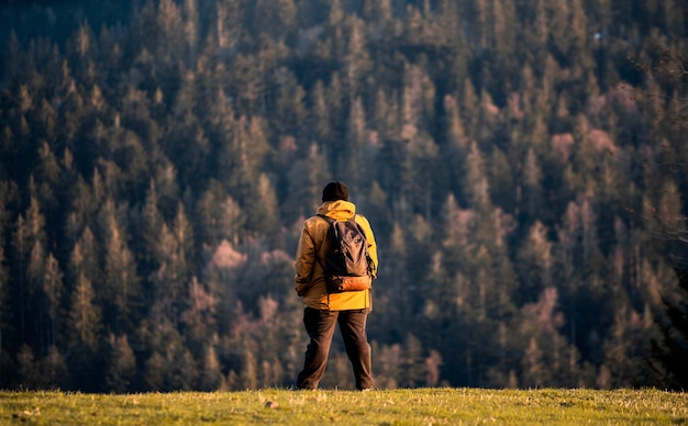 Man is looking at the forest in the middle of the mountain