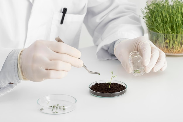 Foto gratuita uomo in laboratorio facendo esperimenti sul germoglio da vicino