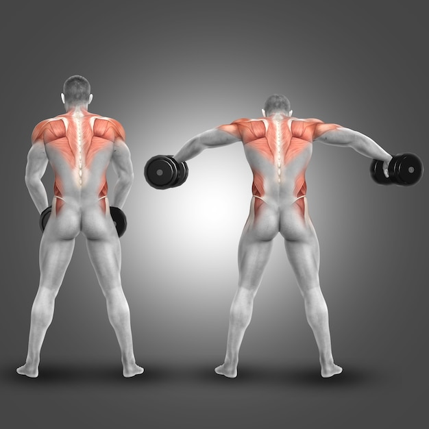 Free photo man lifting weights and exercising shoulders and back