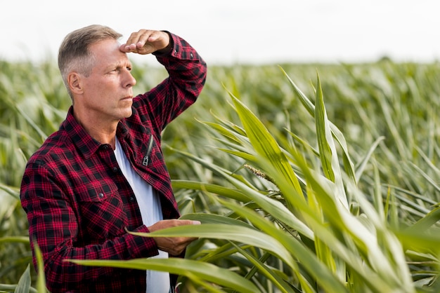 Man looking away on a field 