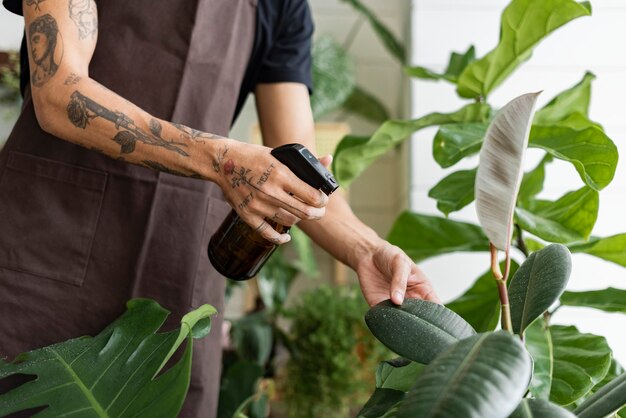 植物店で水スプレーで植物を霧状にする男