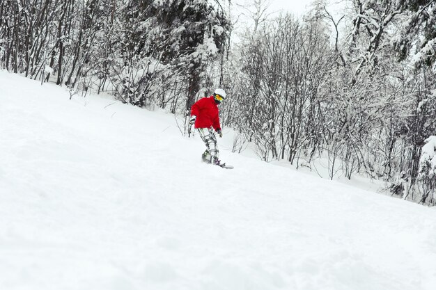 빨간 스키 재킷을 입은 남자가 숲을 따라 스노우 보드에 내려갑니다.