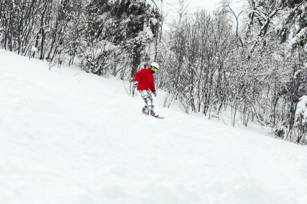 Man in red ski jacket goes down on the snowboard along the forest 