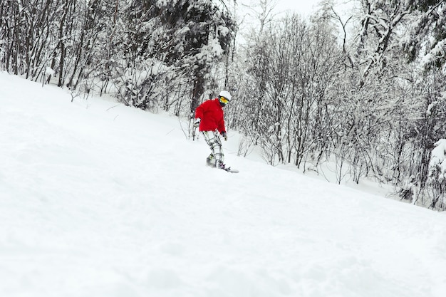 빨간 스키 재킷을 입은 남자가 숲을 따라 스노우 보드에 내려갑니다.