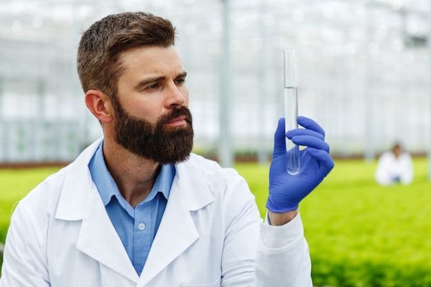 Free photo man researcher holds a glass tube with sample standing before plants in the greenhouse