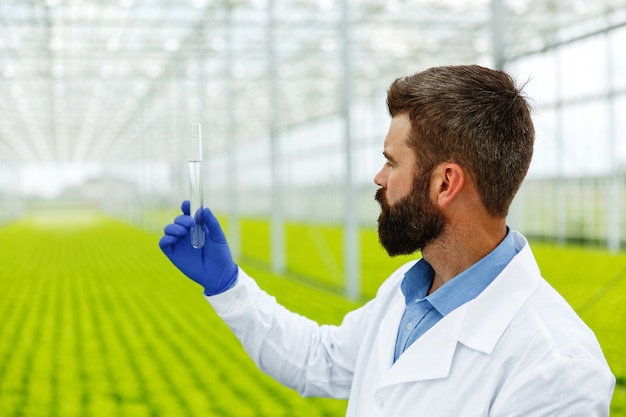 man researcher holds a glass tube with sample standing before plants in the greenhouse