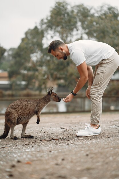 Man in the reserve is playing with a kangaroo