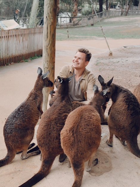 Man in the reserve is playing with a kangaroo