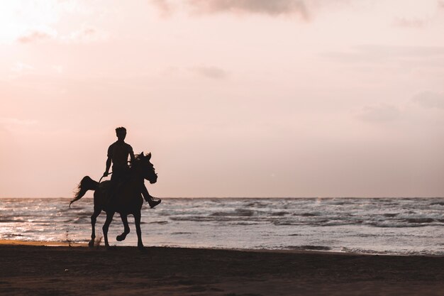 석양의 해변에서 말을 타는 사람