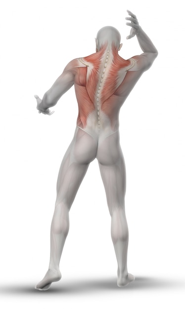 Man stretching back muscles