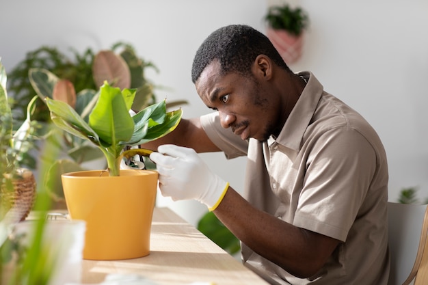 植物の世話をする男ミディアムショット