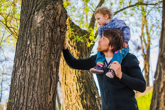 Man touching a trunk with his son sitting on his shoulders