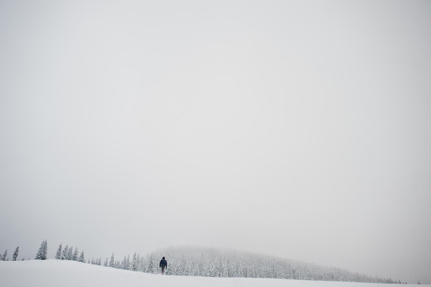雪​に​覆われた​松の木​と​山​で​バック​パック​を​持つ​男​の​観光​写真家​美しい​冬​の​風景​霜​の​自然