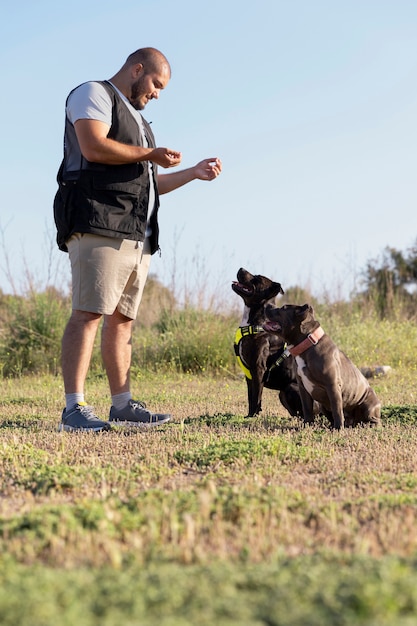 2匹の犬を屋外で訓練する男