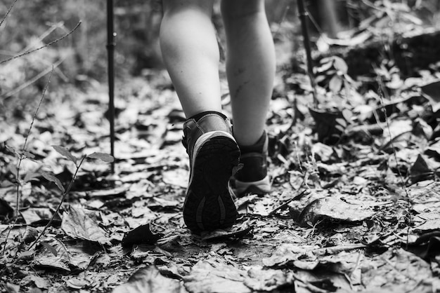 Man trekking in a forest