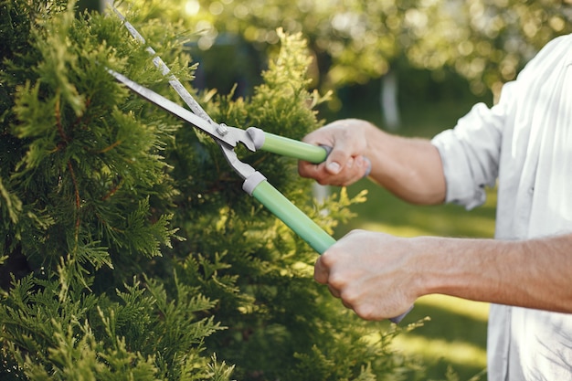 Free photo man trimming bough of brush. guy works in a backyard.