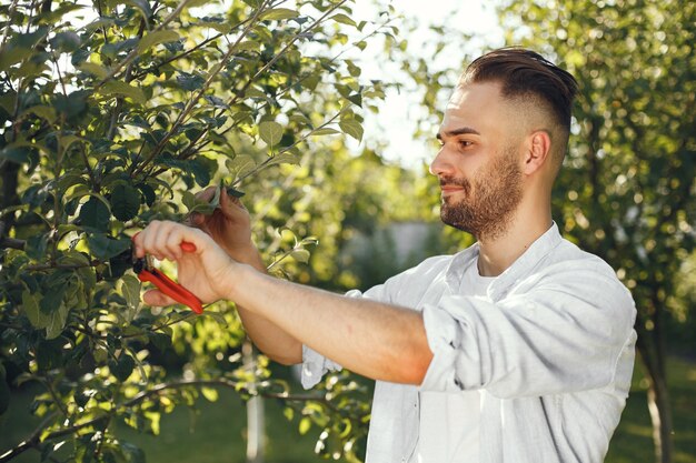ブラシの枝をトリミングする男。男は裏庭で働いています。