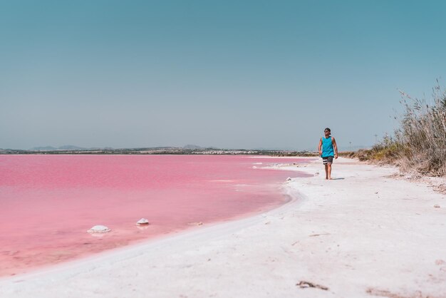 Man walking along beach near pink sea