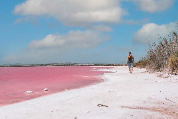 핑크 바다 근처 해변을 따라 걷는 남자