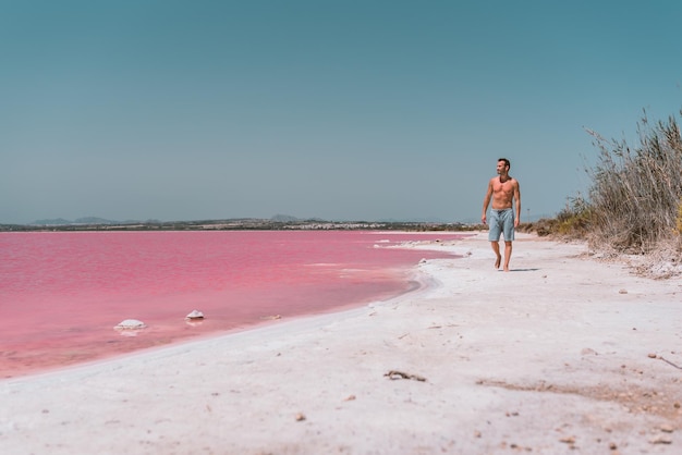Man walking along beach near pink sea