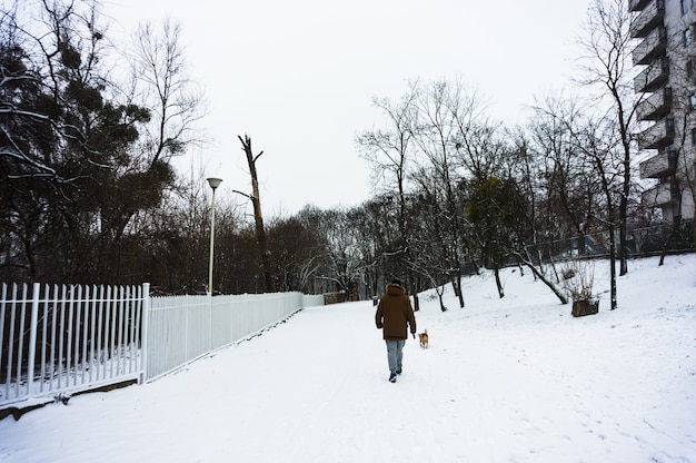 冬の間に雪に覆われた地面に彼の犬を歩く男