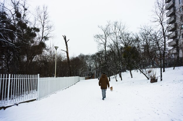 Человек гуляет с собакой на заснеженной земле зимой