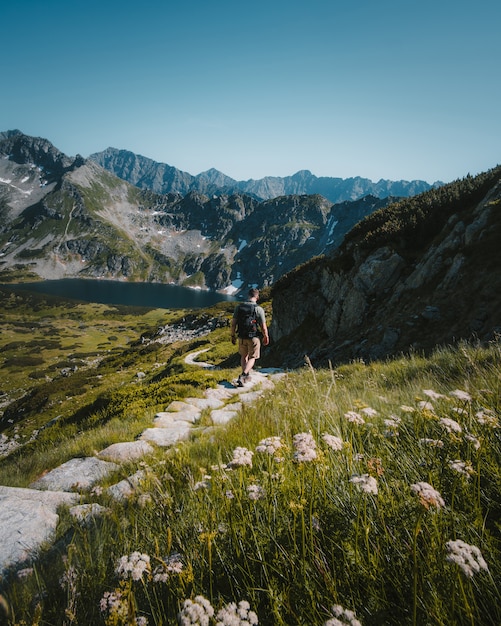 Man walking on a stone pathway surrounded by mountains, plants and a lake