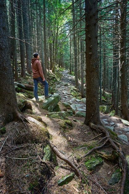 Foto gratuita uomo con attrezzatura da trekking che cammina nella foresta