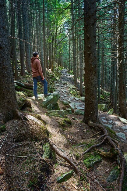 Man with hiking equipment walking in forest