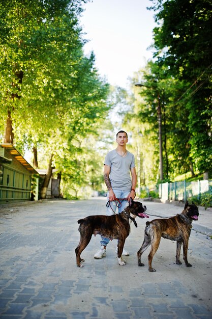 2匹の犬を持つ男が散歩でブルテリアをピットブル