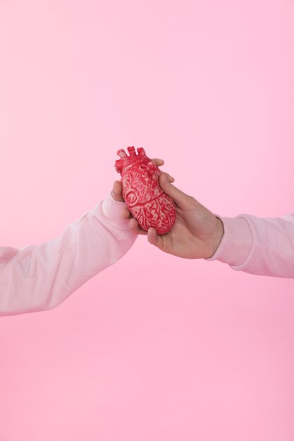 Man and woman holding heart model 
