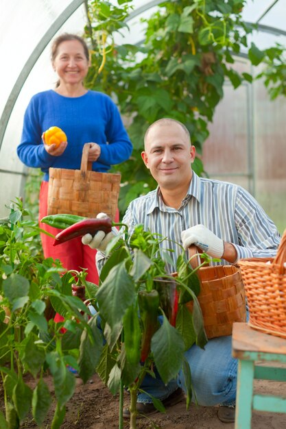 Man and woman at hothouse