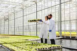 Foto gratuita l'uomo e la donna in accappatoi lavorano con le piante verdi in una serra