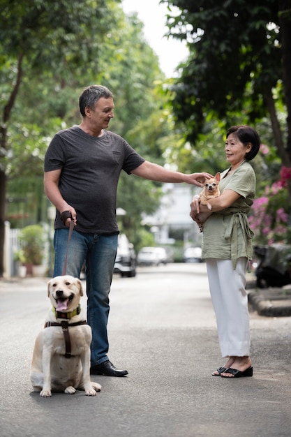 Foto gratuita uomo e donna che si incontrano per strada per accarezzare i cani durante una passeggiata