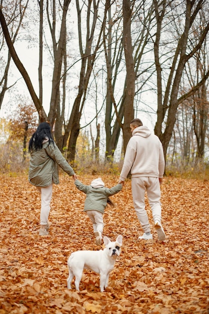Мужчина, женщина, их маленькая девочка и собака гуляют в осеннем лесу Брюнетка и мужчина держатся за руки с дочерью Семья в бежевых спортивных костюмах